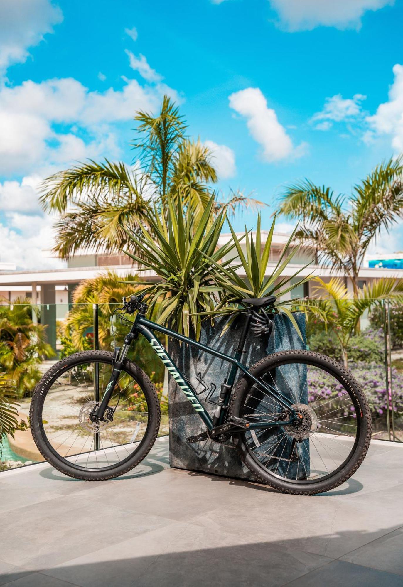 קרלנדיק Chogogo Dive & Beach Resort Bonaire מראה חיצוני תמונה